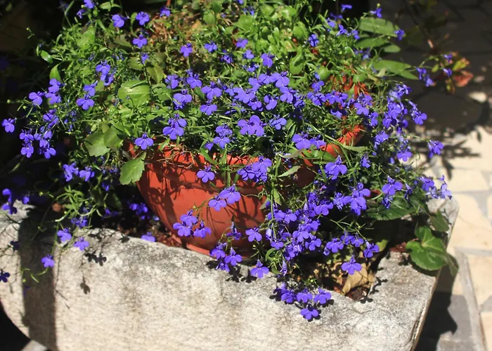 Appartamento 4525c Orebić